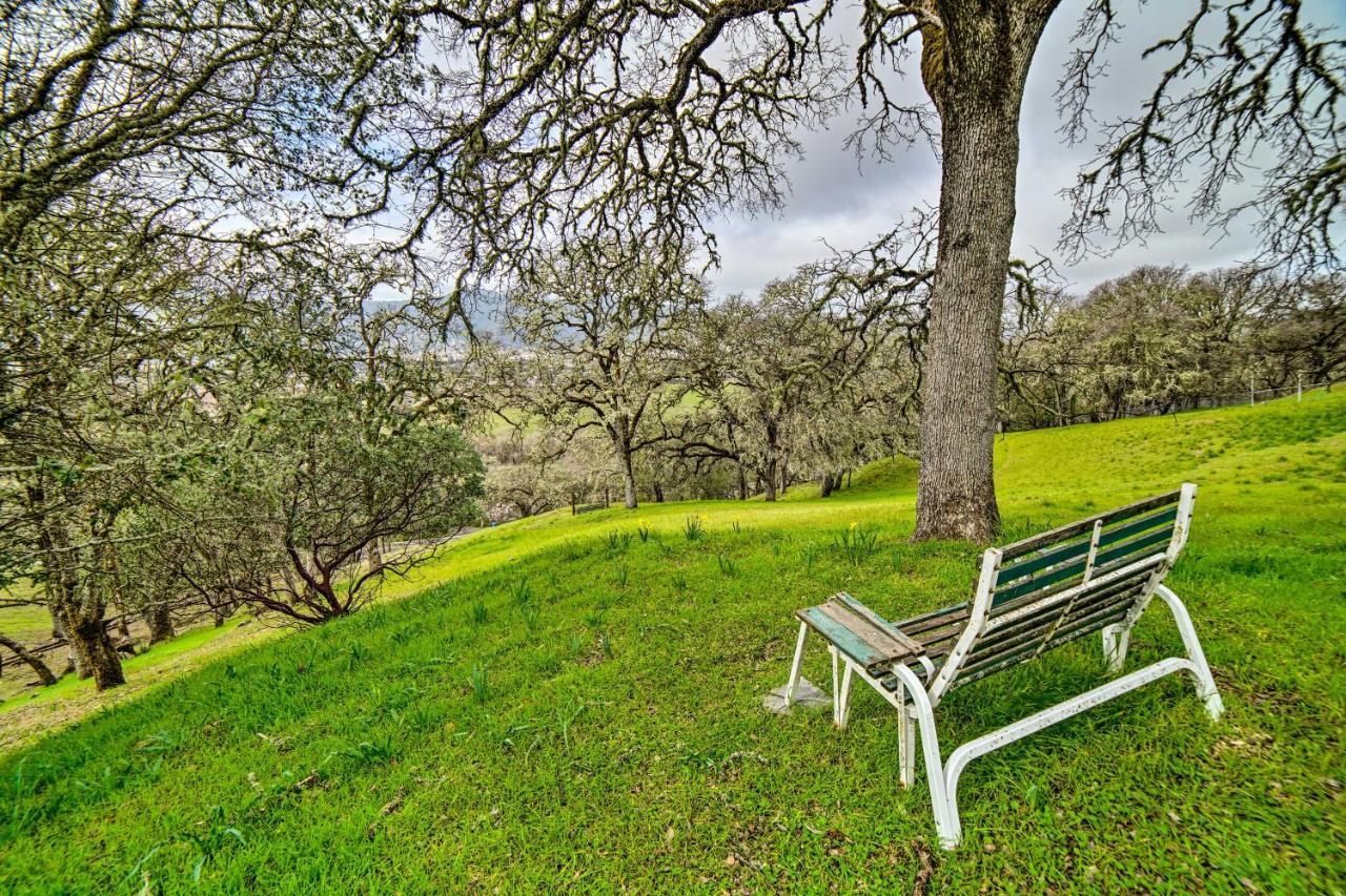 Hilltop Loft Ukiah Vacation Rental! Exterior foto