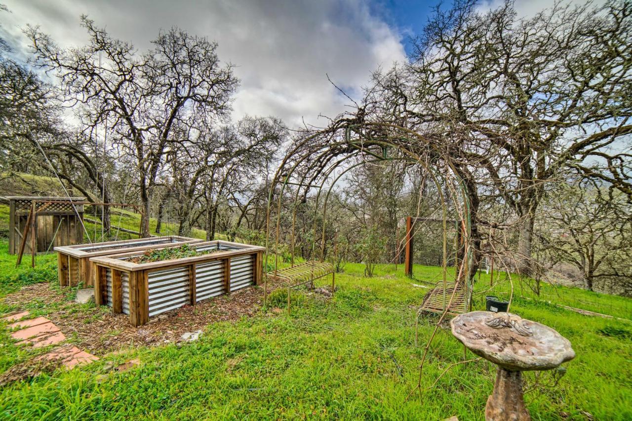 Hilltop Loft Ukiah Vacation Rental! Exterior foto
